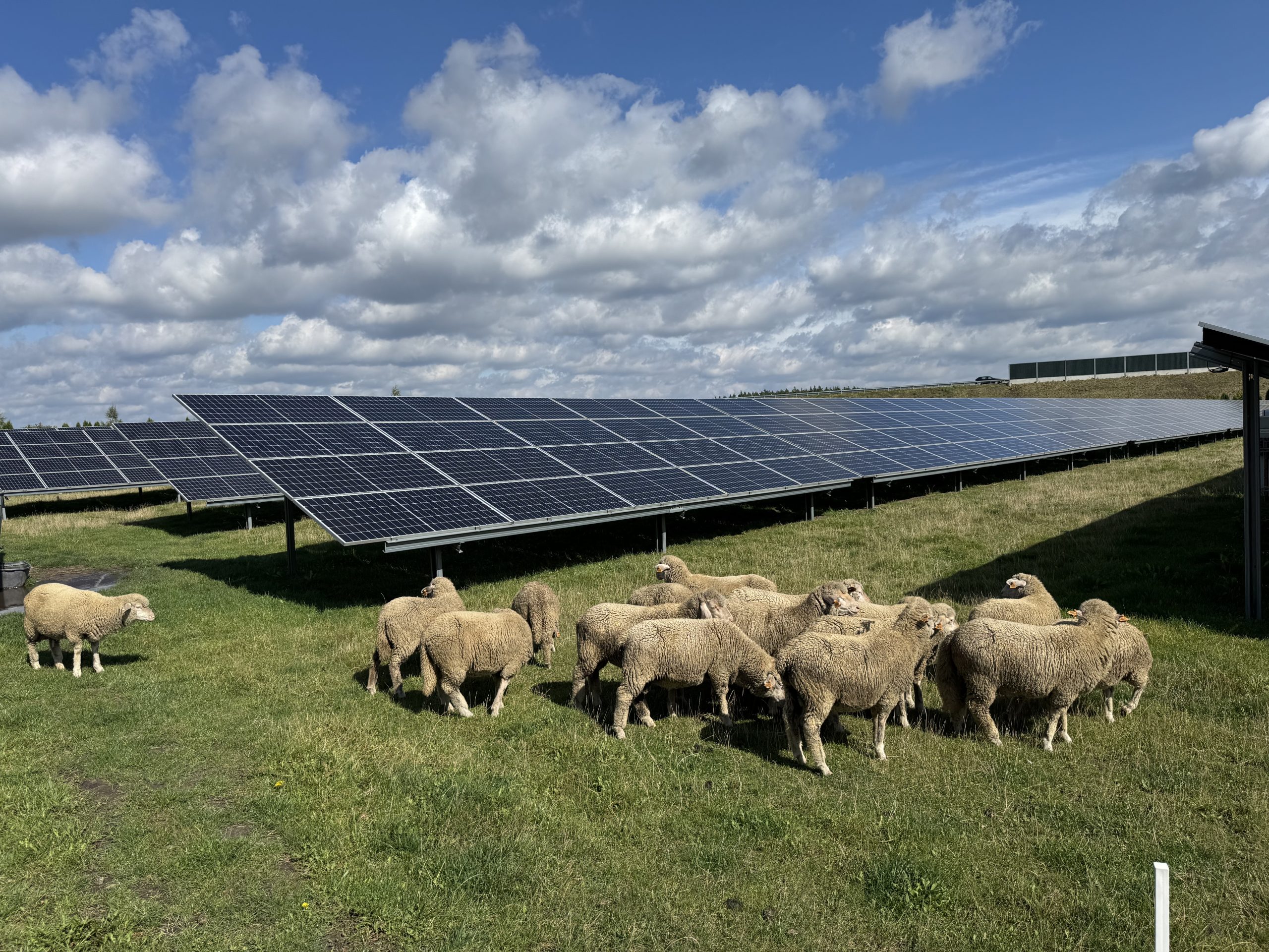 Lqdpjw1wf2y13tvnelznflcwerpyjsgggrqixknhzwtnaa 5712 4284